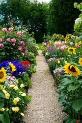 Garden Path Parfümöl - F&uuml;r weitere Informationen anklicken